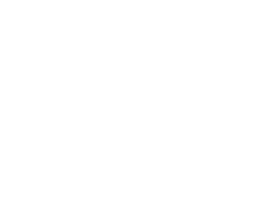 Fibra 360 Logo